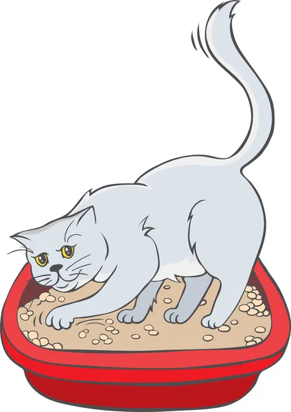 Gato en la bandeja — Vector de stock