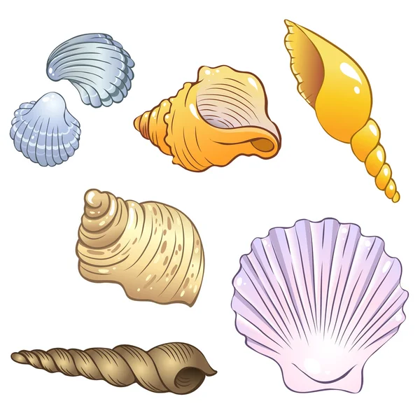 Set of sea shells — Stock Vector