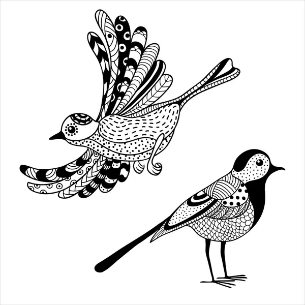 Deux oiseaux — Image vectorielle