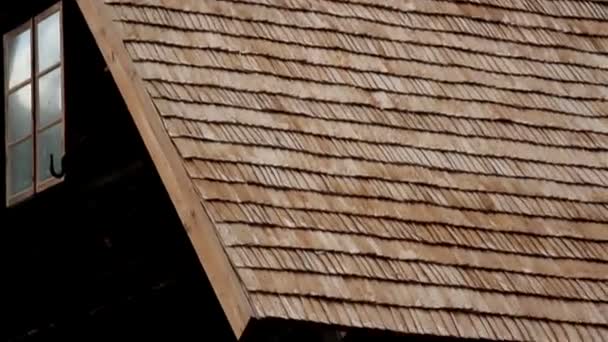 Vue latérale de la cabane dans les bois — Video