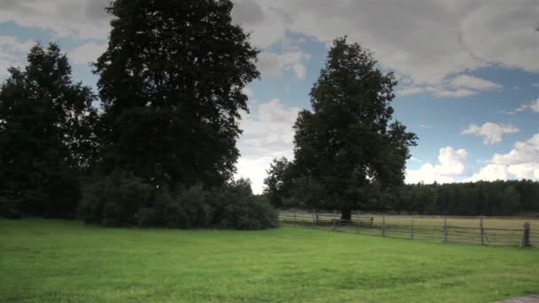 Bir çiftlik güzel bir manzara — Stok video