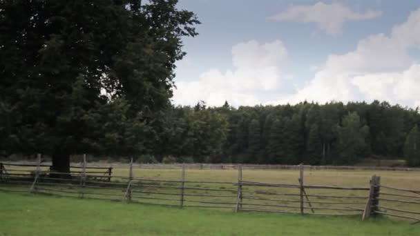 Fenced farm — Stock Video