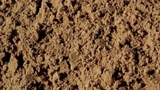 Heaps of soil — Stock Video