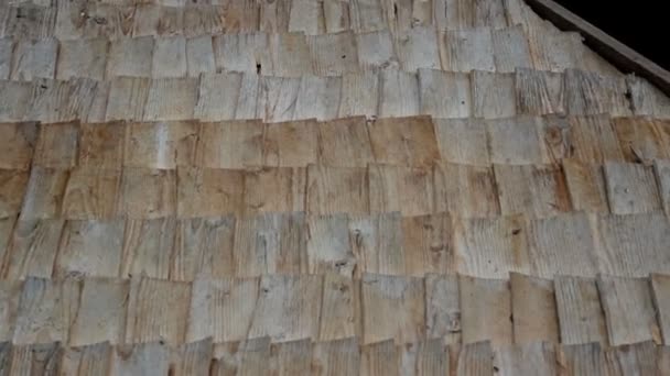 Revestimentos de madeira na borda do telhado de palha — Vídeo de Stock