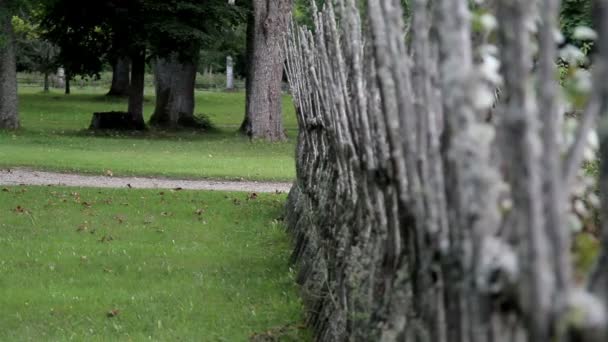 Vieille clôture en bois — Video