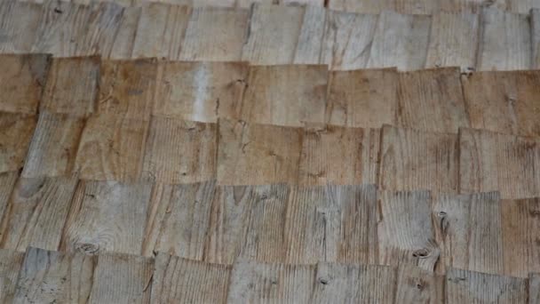 The old thatched roof — Stock Footage The old thatched roof Stock Video