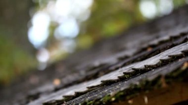 siyah ahşap çatı Zona