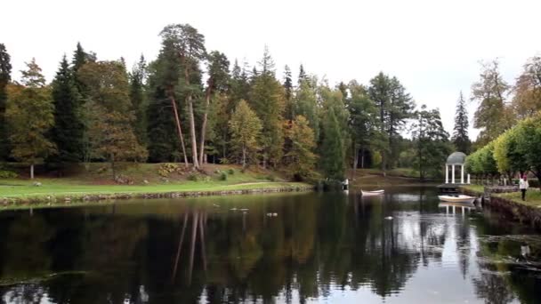 Beautiful scenery of lake and rows of trees — Stock Video