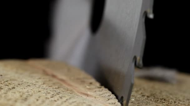 A saw blade stuck on the wood — Stock Video