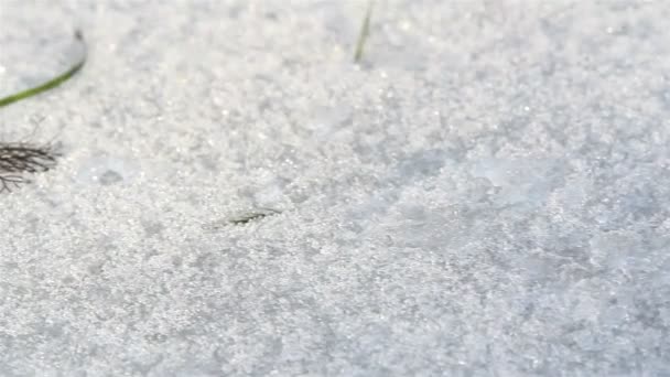 De kristal-achtige witte sneeuw — Stockvideo