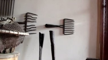 Duvardaki siyah tırmık çeşitleri