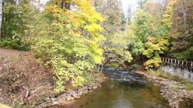 dere akan ve büyüyen ağaçlar