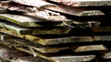 sawmaterial ahşap plakalar üst üste birkaç pinus sylvestis çam