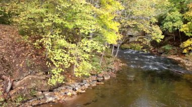 wody płynące w strumieniu