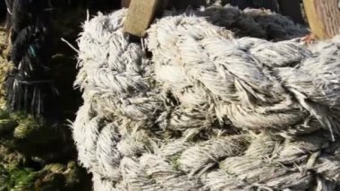 görüntülenen ipleri çeşitleri