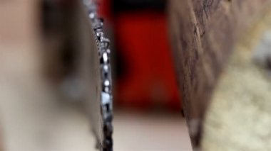 daha yakından bakmak-in kırmızı bir chainsaw