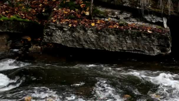 Stream stromen en sommige rotsen aan de kant — Stockvideo