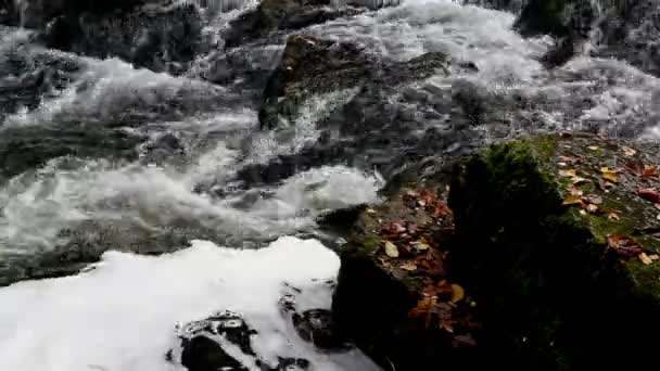 Water stroomt op de top van grote rotsen — Stockvideo