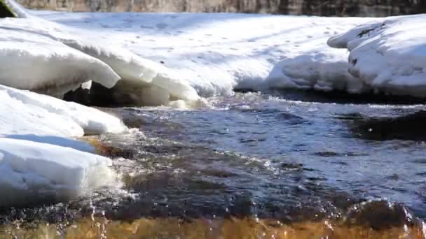 Dicker Schnee bedeckt das Gebiet und ein fließendes Wasser — Stockvideo