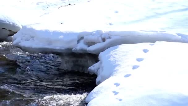 Ein Gebiet mit dichtem Schnee bedeckt und das fließende Wasser unter — Stockvideo