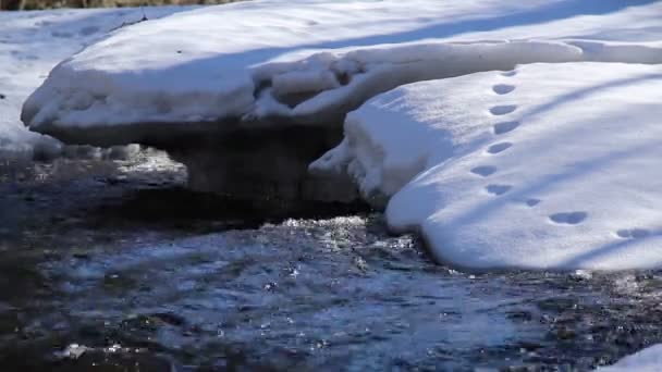 Een sneeuw bedekte gebied met stromend water onder — Stockvideo