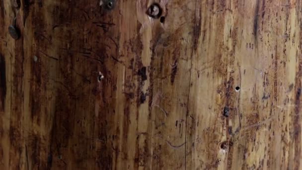 Ein großes Holz mit der Axt drauf — Stockvideo