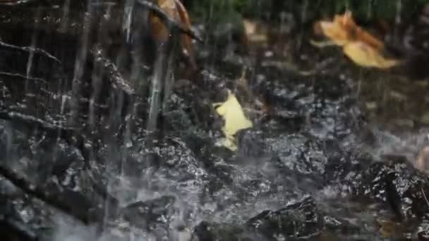 L'eau tombe sur les rochers et quelques feuilles — Video