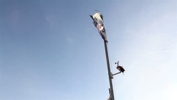 手を振っている旗、風速計 — ストック動画