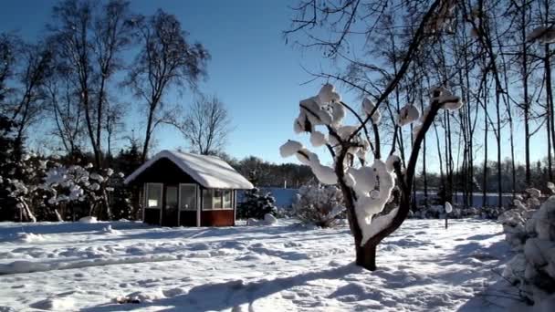 Un patio trasero lleno de nieve — Vídeos de Stock