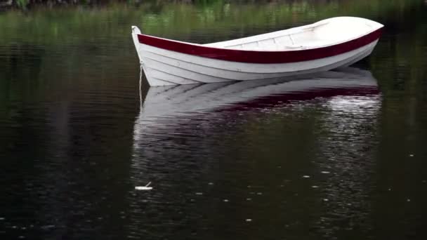 Hoja flotando cerca del bote de la fila — Vídeos de Stock