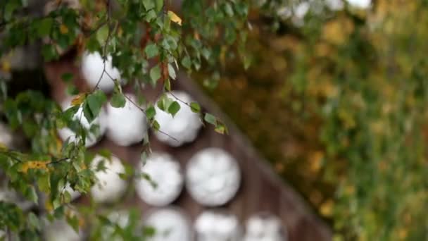 Pièces d'enjoliveurs de roue de véhicule sur le mur — Video