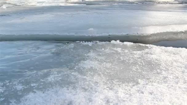 Несколько ледяных шапок на воде медленно тают — стоковое видео