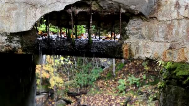 Gocciolamento d'acqua dal ponte di pietra — Video Stock