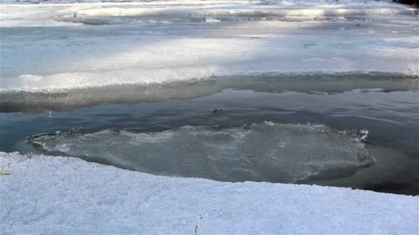 水にゆっくりと融解雪 — ストック動画