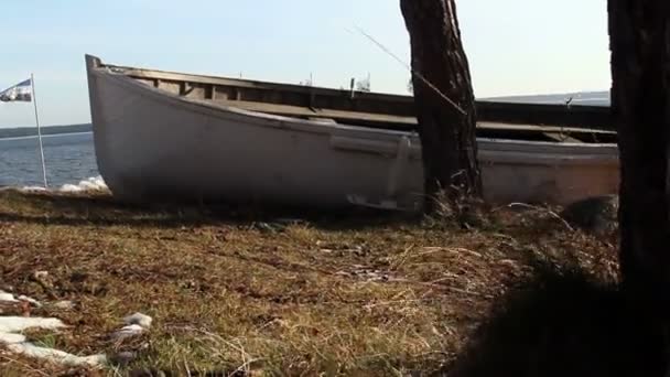 Un barco blanco cerca de un árbol — Vídeo de stock