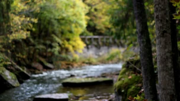 Ponte di pietra da lontano — Video Stock