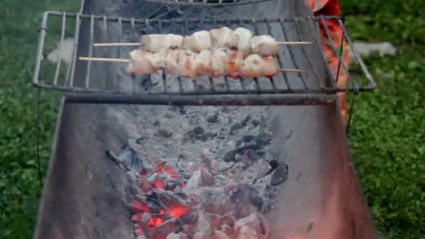 Cocinar barbacoa de carne — Vídeo de stock