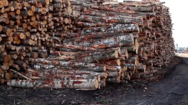 büyük bir yere kaydeder