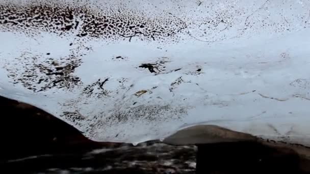 ゆっくり溶けて水にいくつかの氷冠 — ストック動画