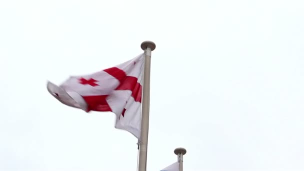Een vlag met Rode Kruis op het zwaaien op de paal — Stockvideo