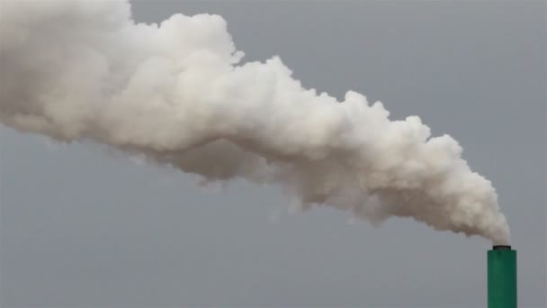 Белый дым, выходящий с завода — стоковое видео