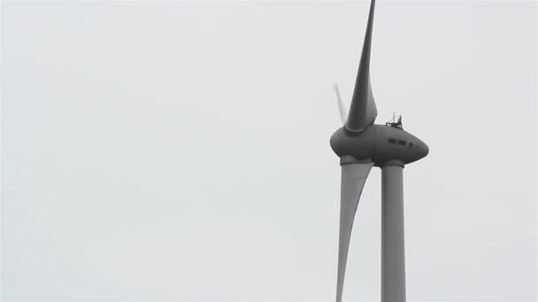 Tři lopatky větrného — Stock video
