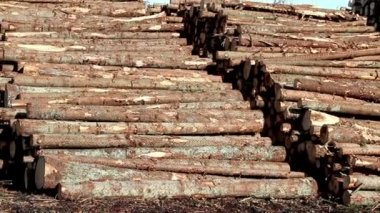 iki farklı yerde yığılı lumbers