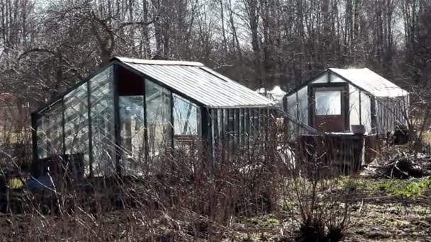 Lots of greenhouse for agriculture — Stock Video