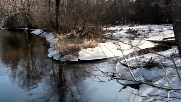 The lake with snow on the side — Stock Video