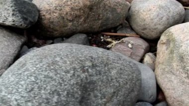 Deniz kaya yığını