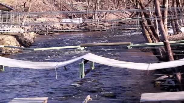 Las sillas colgantes colocadas sobre el río — Vídeos de Stock