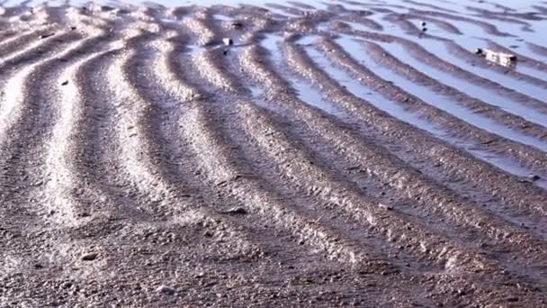 Vista de cerca de las huellas de los neumáticos en la arena — Vídeos de Stock