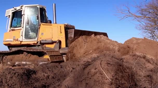 En gul bulldozer flytta jorden — Stockvideo