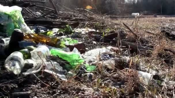 Una parte del bosque donde hay basura — Vídeo de stock